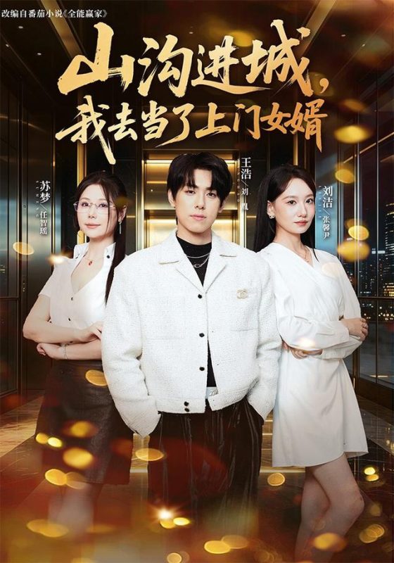 《山沟进城，我去当了上门女婿》-VIP部落