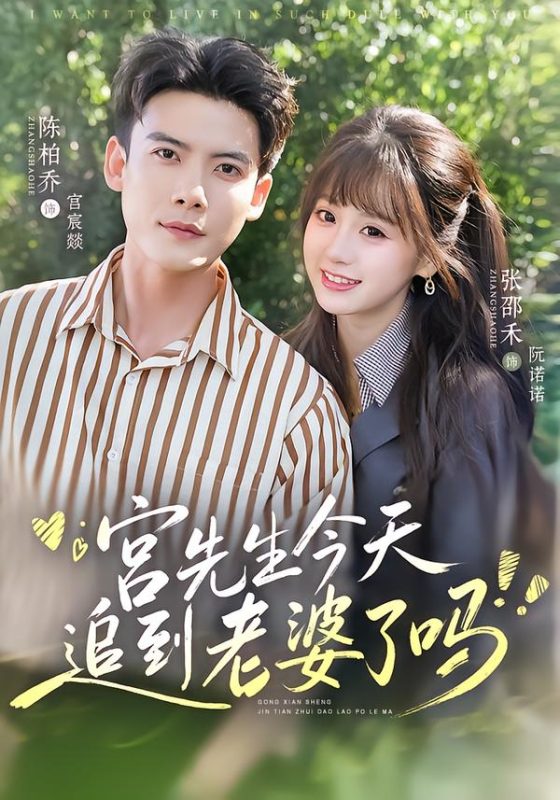 《宫先生今天追到老婆了吗》-VIP部落