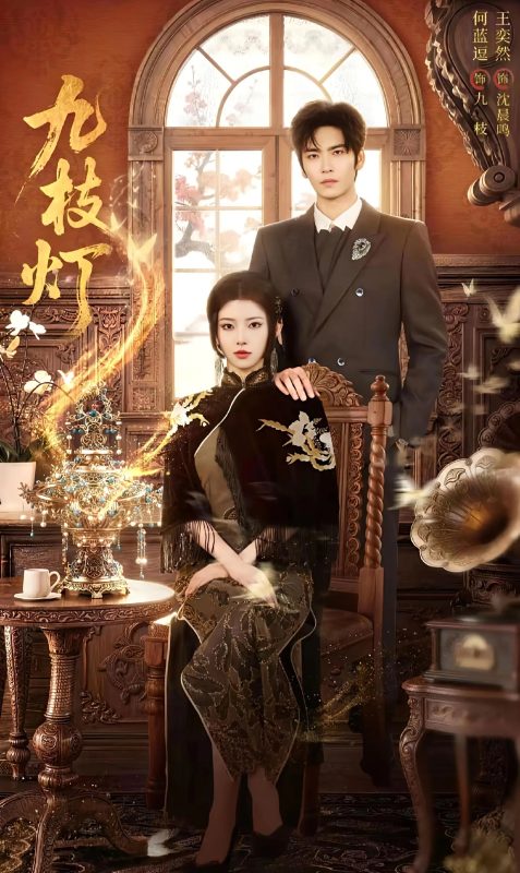《九枝灯》-VIP部落