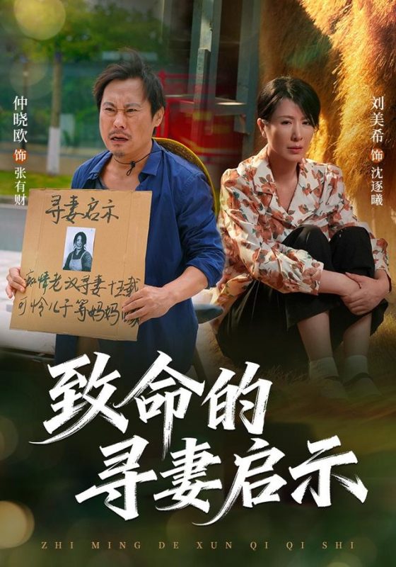 《致命的寻妻启示》-VIP部落