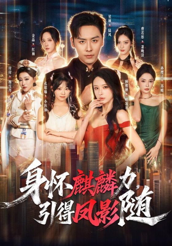 《身怀麒麟力，引得凤影随》-VIP部落