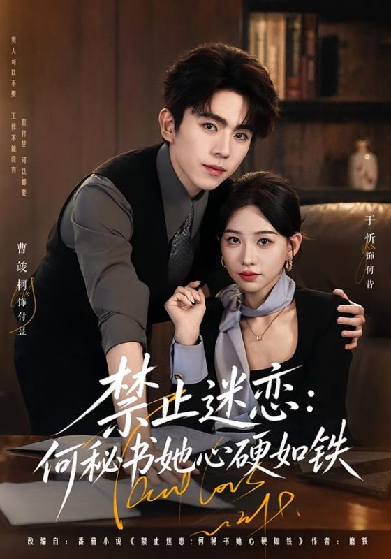 《禁止迷恋：何秘书她心硬如铁》-VIP部落
