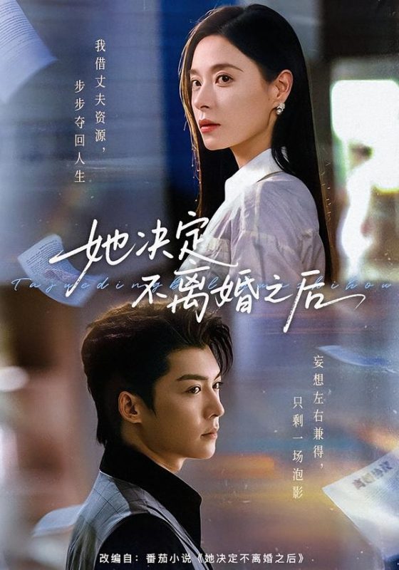 《她决定不离婚之后》-VIP部落