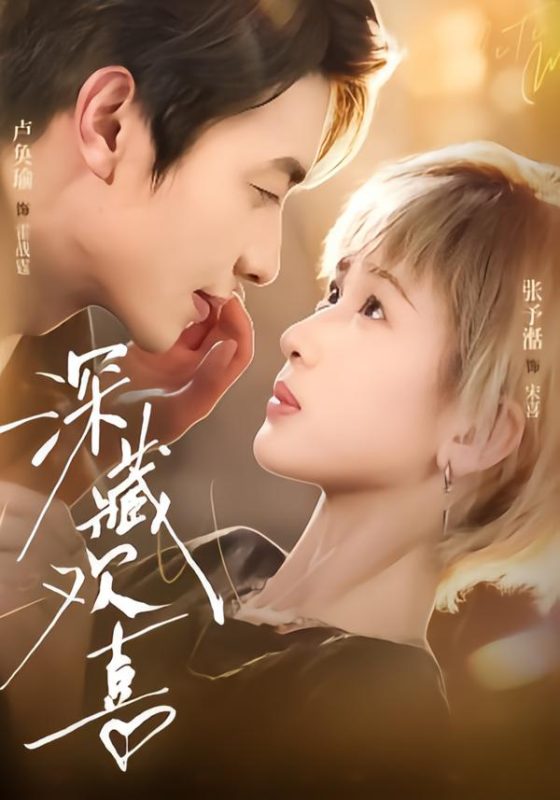 《深藏欢喜》-VIP部落