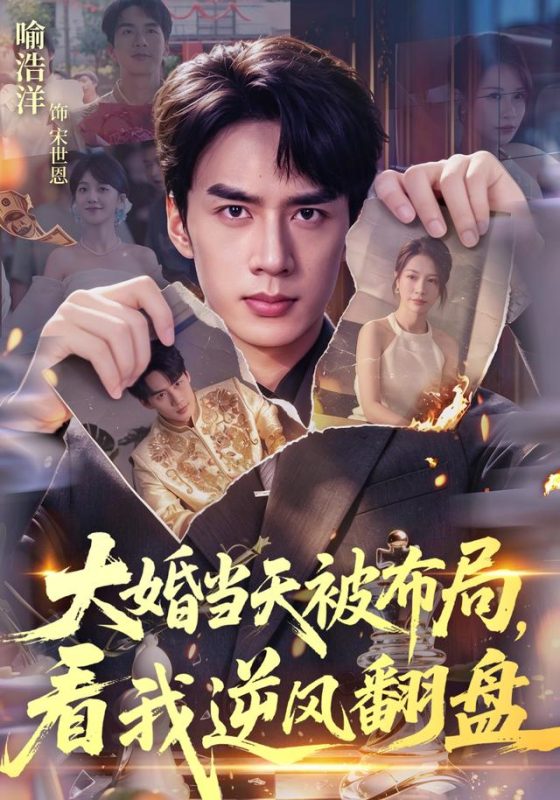 《大婚当天被布局，看我逆风翻盘》-VIP部落