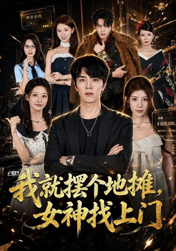 《我就摆个地摊，女神找上门》-VIP部落