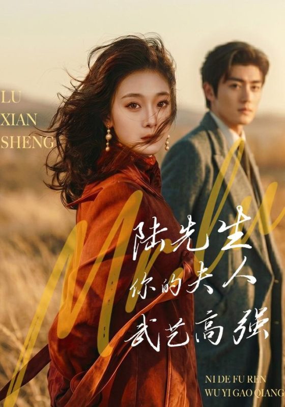 《陆先生，你的夫人武艺高强》-VIP部落