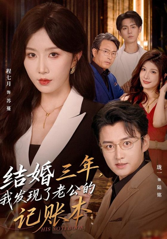 《结婚三年，我发现了老公的记账本》-VIP部落