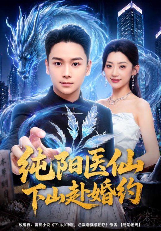 《纯阳医仙下山赴婚约》-VIP部落