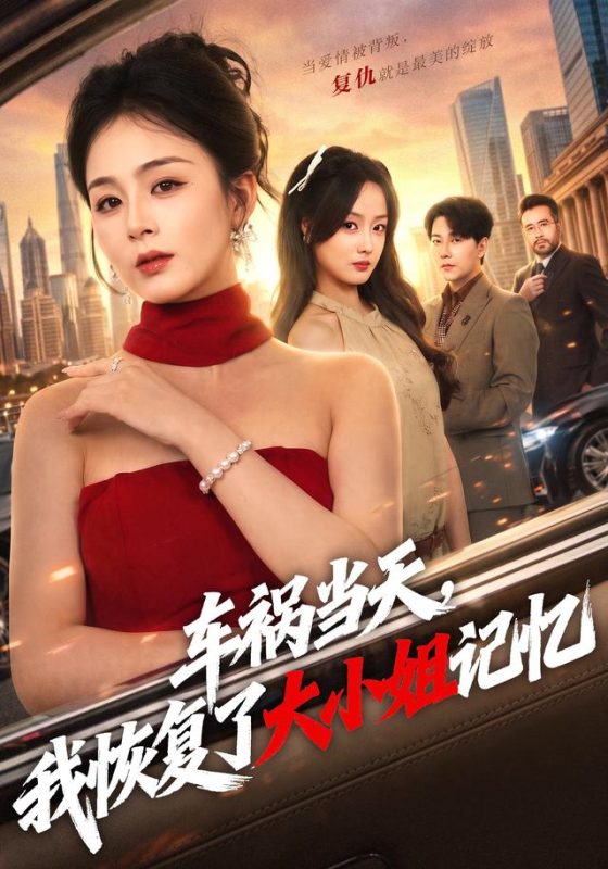 《车祸当天，我恢复了大小姐记忆》-VIP部落