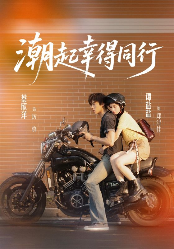 《潮起幸得同行》-VIP部落