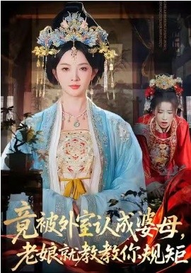 《竟被外室认成婆母，老娘就教教你规矩》-VIP部落