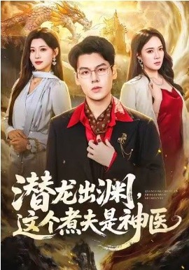 《潜龙出渊，这个煮夫是神医》-VIP部落