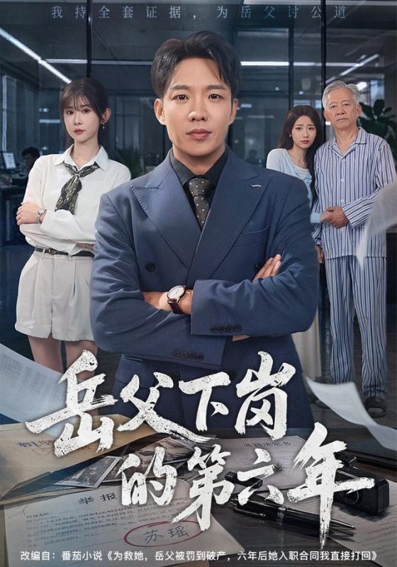 《岳父下岗的第六年》-VIP部落