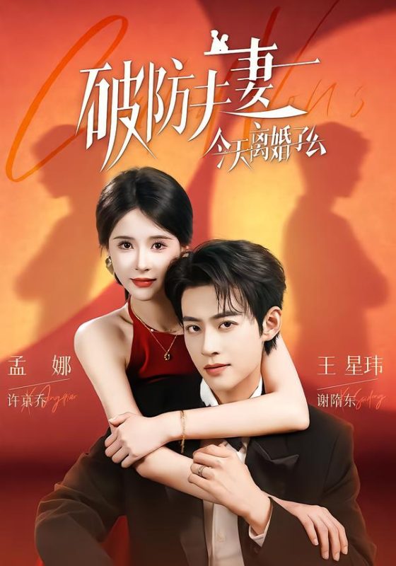 《破防夫妻今天离婚了么》-VIP部落