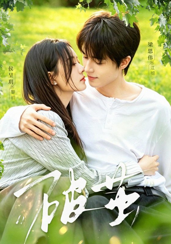 《破茧》-VIP部落