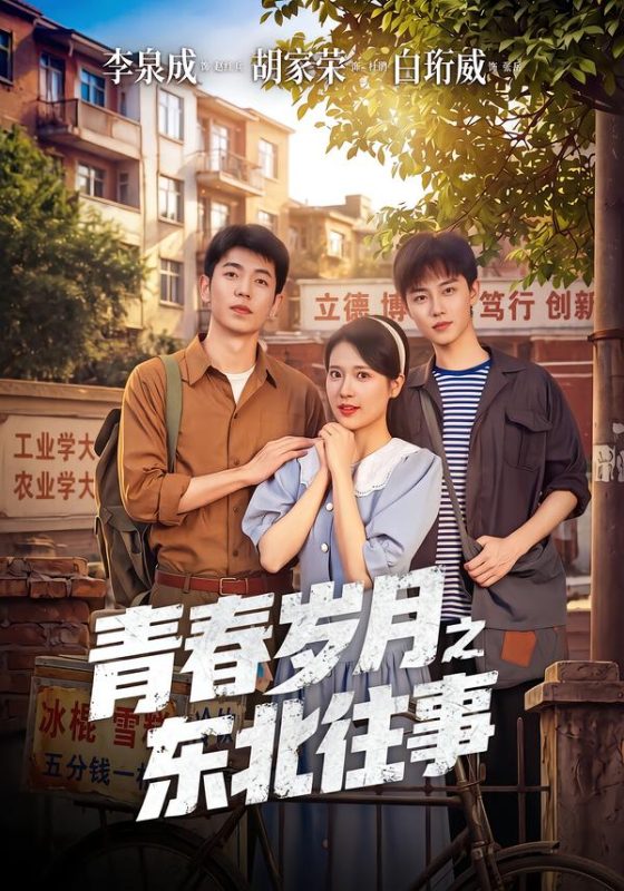 《青春岁月之东北往事》-VIP部落