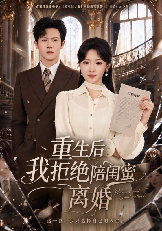 《重生后我拒绝陪闺蜜离婚》-VIP部落