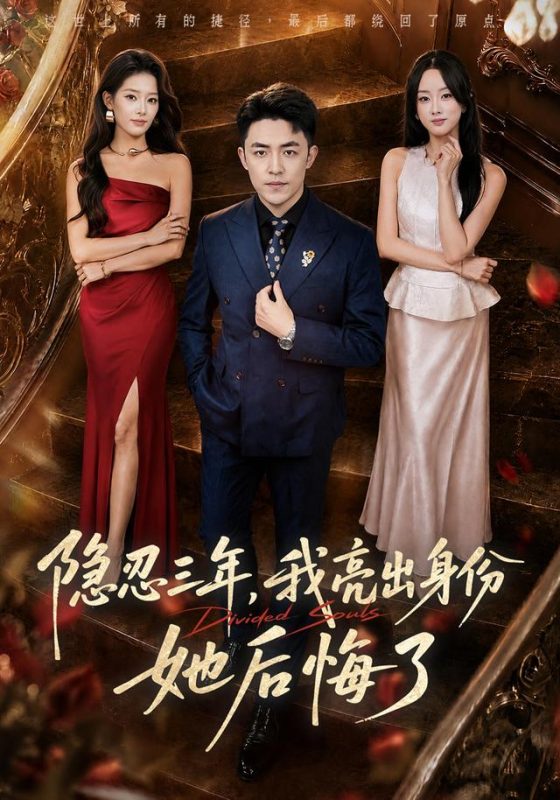 《隐忍三年，我亮出身份她后悔了》-VIP部落