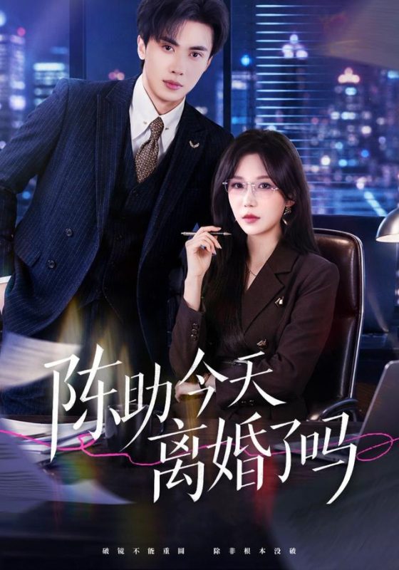 《陈助今天离婚了吗》-VIP部落