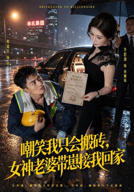 《嘲笑我只会搬砖，女神老婆带崽接我回家》-VIP部落