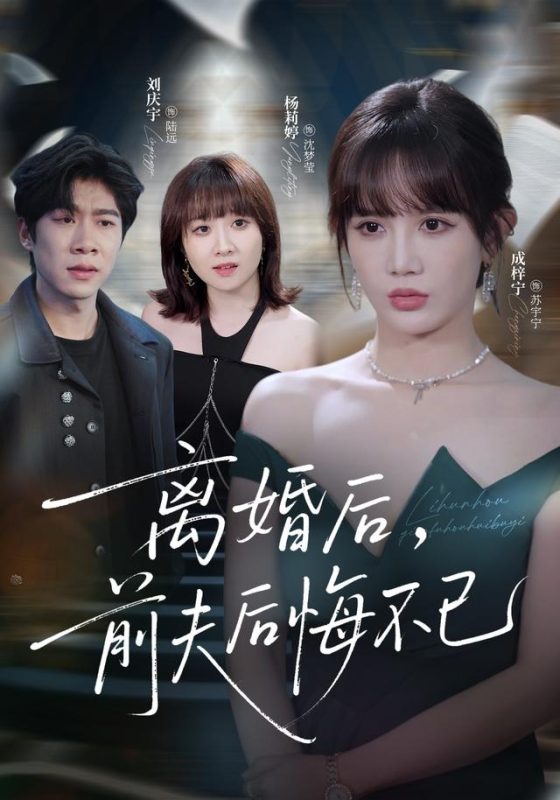 《离婚后前夫后悔不已》-VIP部落