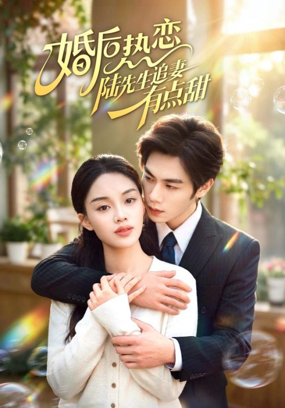 《婚后热恋陆先生追妻有点甜》-VIP部落