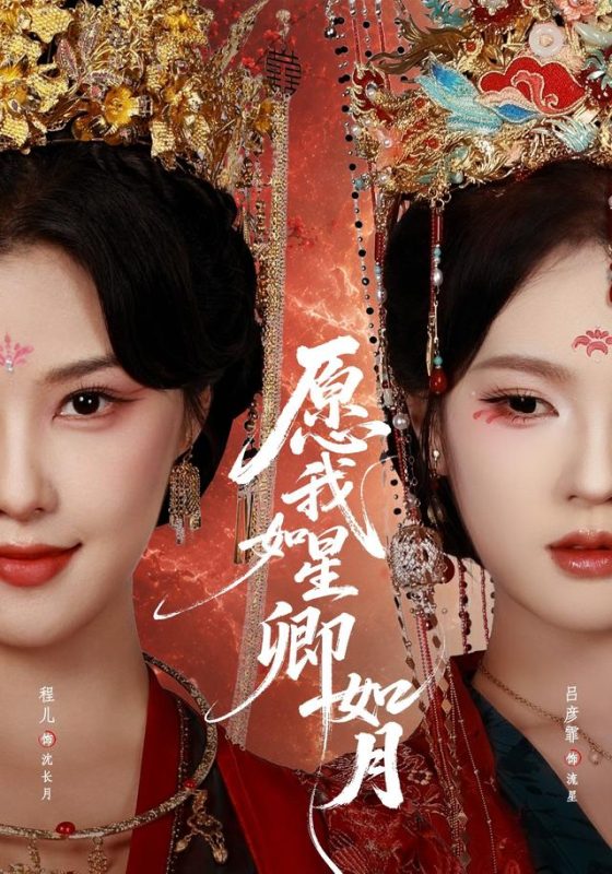 《愿我如星卿如月》-VIP部落