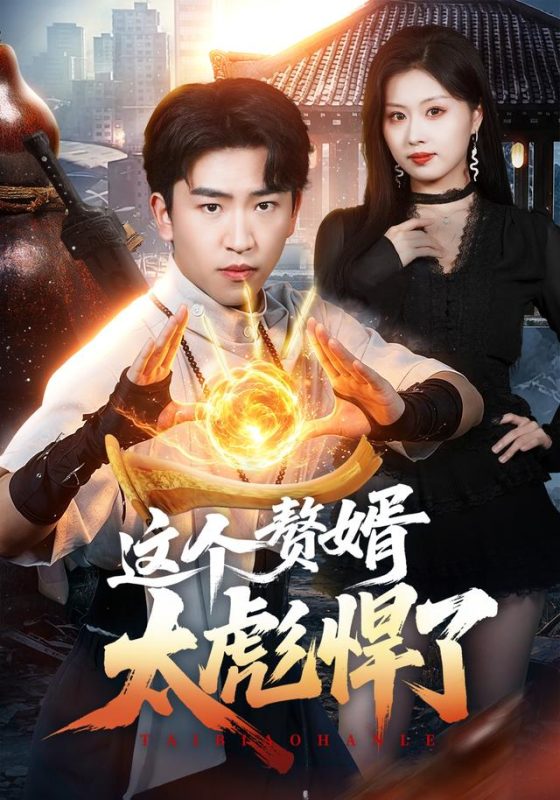 《这个赘婿太彪悍了》-VIP部落