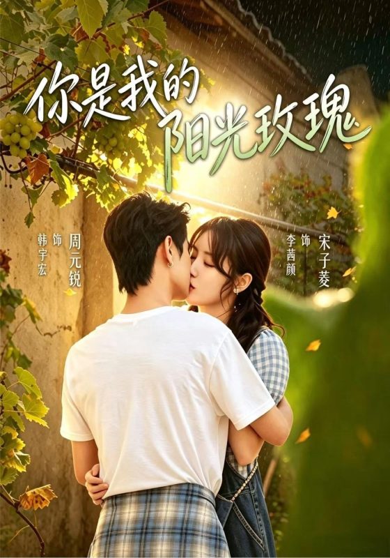 《你是我的阳光玫瑰》-VIP部落
