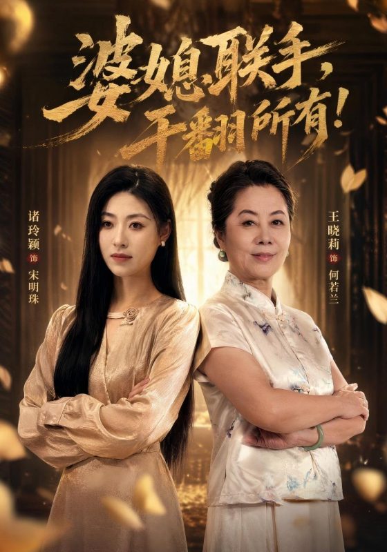 《婆媳联手，干翻所有》-VIP部落