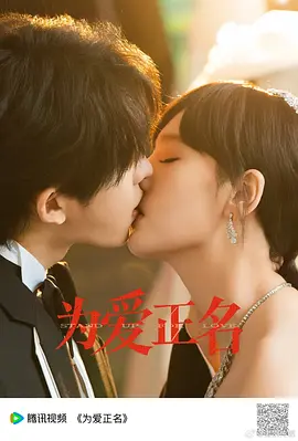 《为爱正名》-VIP部落