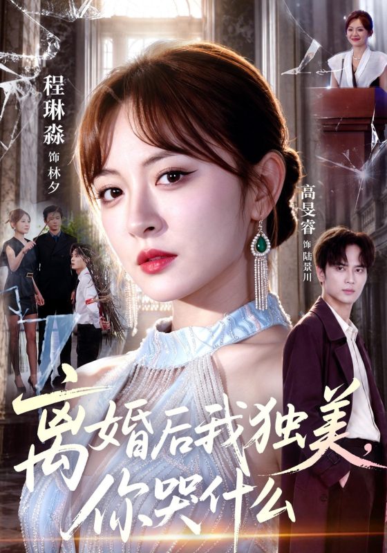 《离婚后我独美，你哭什么》-VIP部落