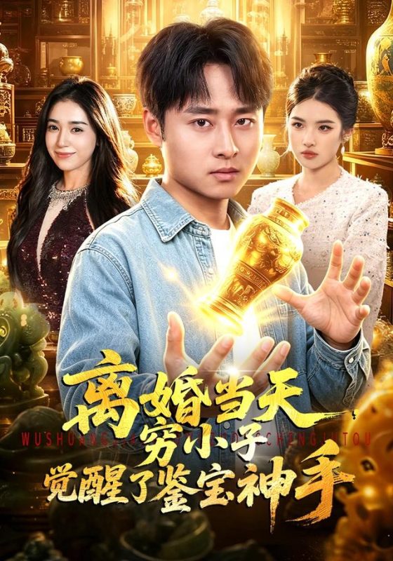 《离婚当天，穷小子觉醒了鉴宝神手》-VIP部落