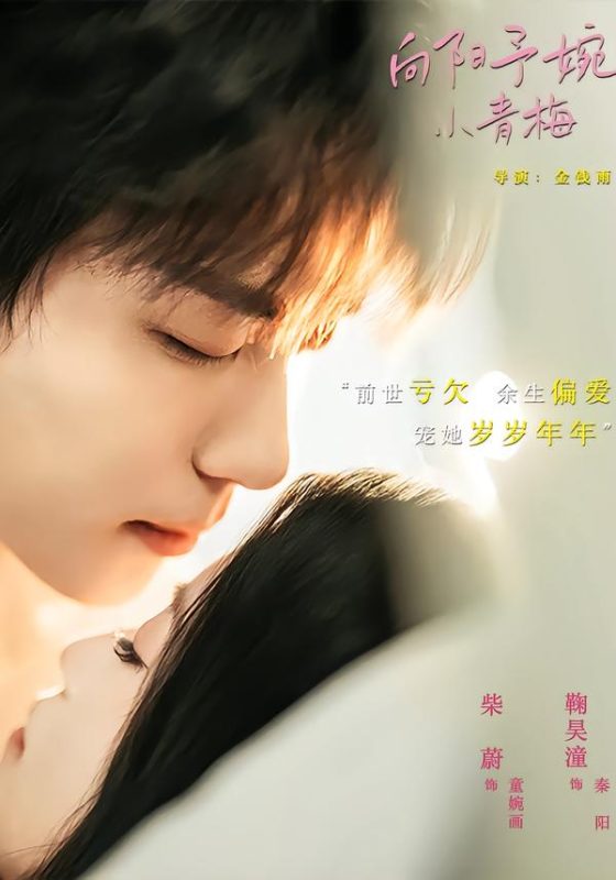 《向阳予婉小青梅》-VIP部落