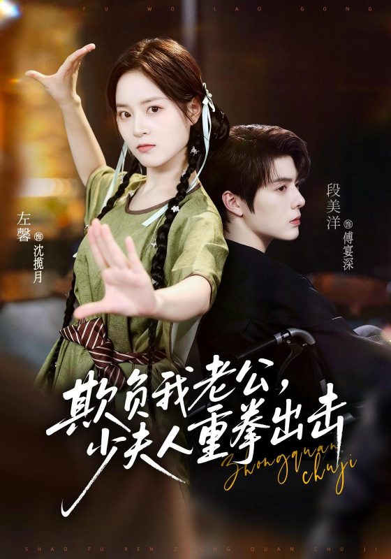 《欺负我老公，少夫人重拳出击》-VIP部落