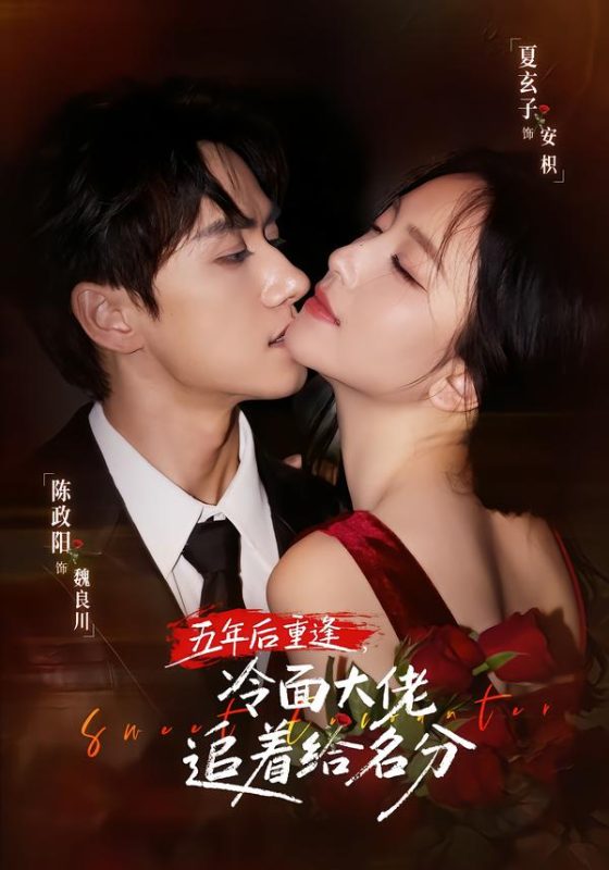 《五年后重逢，冷面大佬追着给名分》-VIP部落