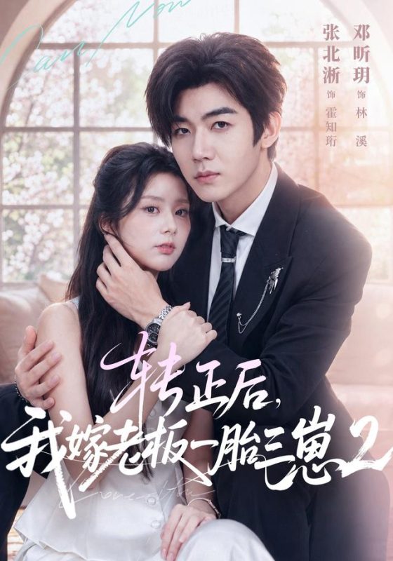 《转正后，我嫁老板一胎三崽第二部》-VIP部落