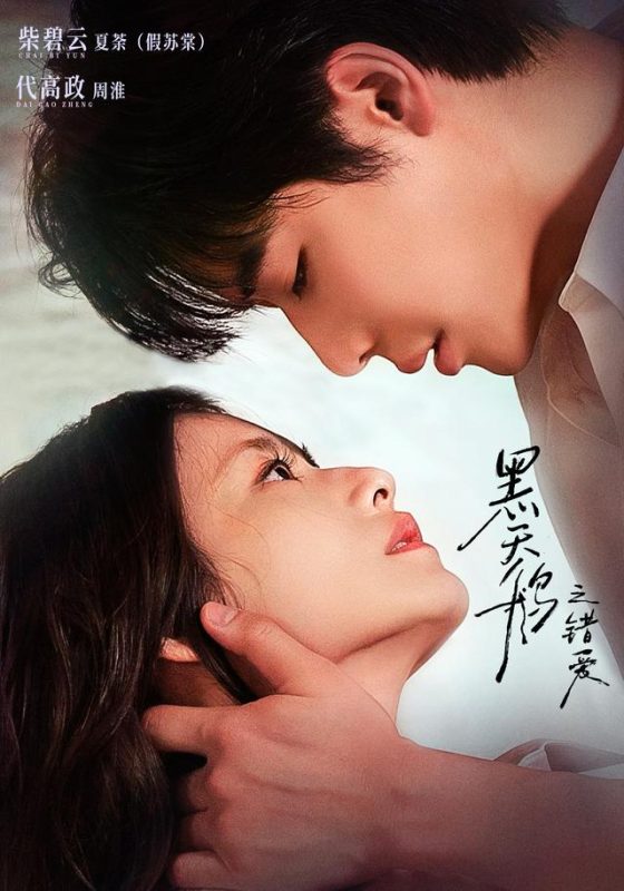 《黑天鹅之错爱》-VIP部落