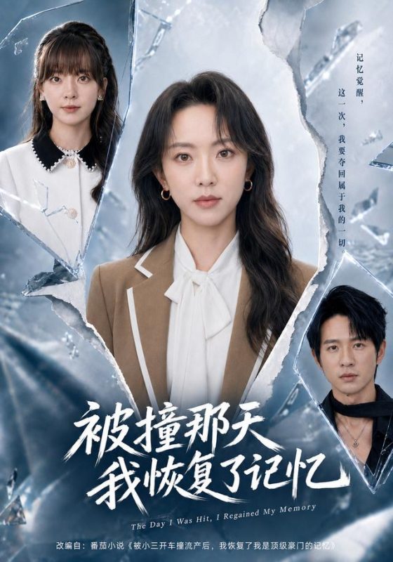 《被撞那天我恢复了记忆》-VIP部落