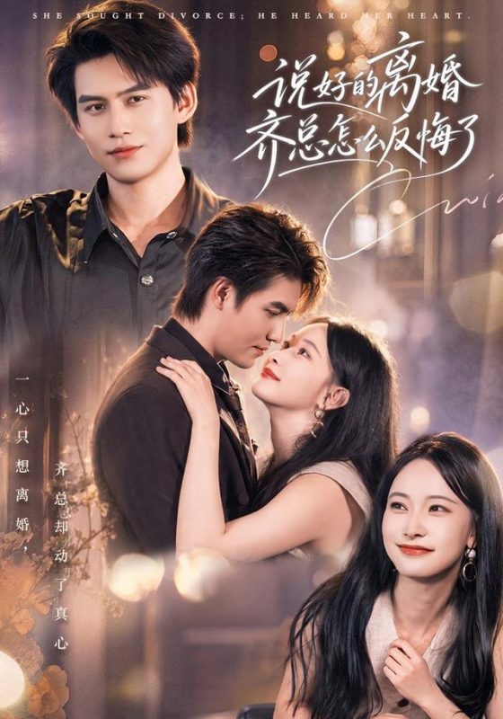 《说好的离婚齐总怎么反悔了》-VIP部落