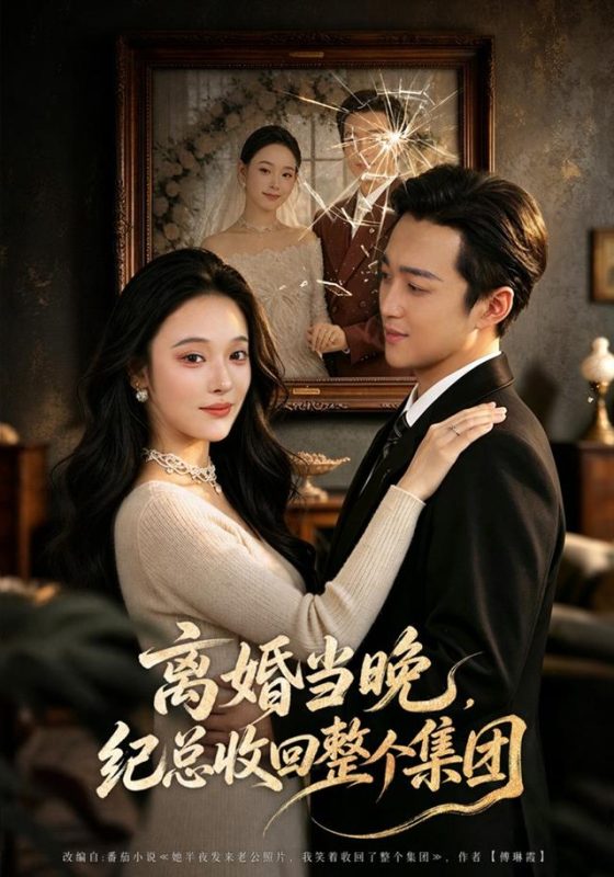 《离婚当晚，纪总收回整个集团》-VIP部落