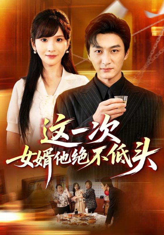 《这一次，女婿他绝不低头》-VIP部落