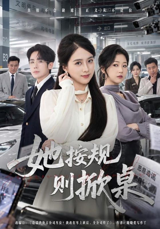 《她按规则掀桌》-VIP部落