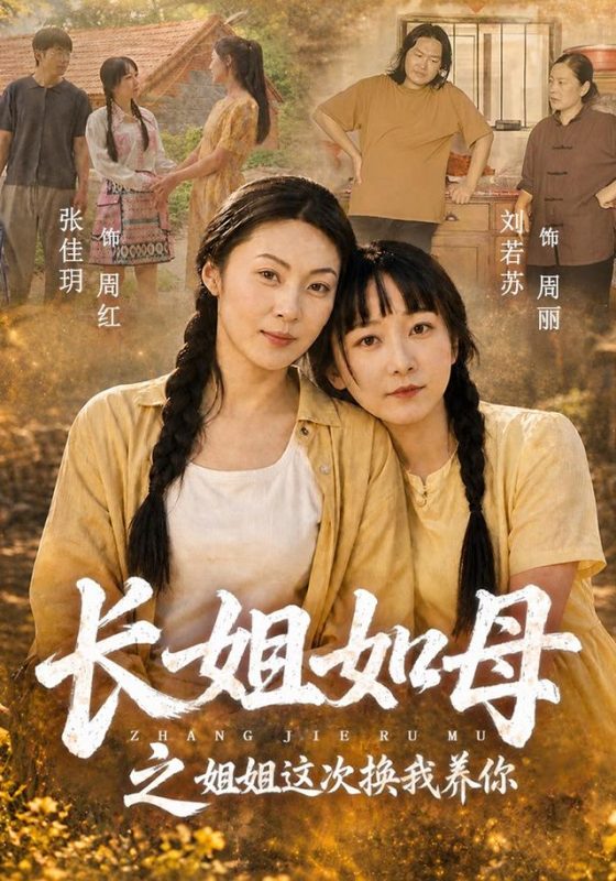 《长姐如母之姐姐这次换我养你》-VIP部落