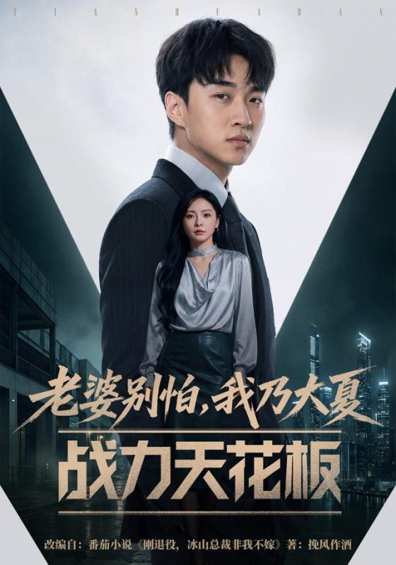 《老婆别怕，我乃大夏战力天花板》-VIP部落