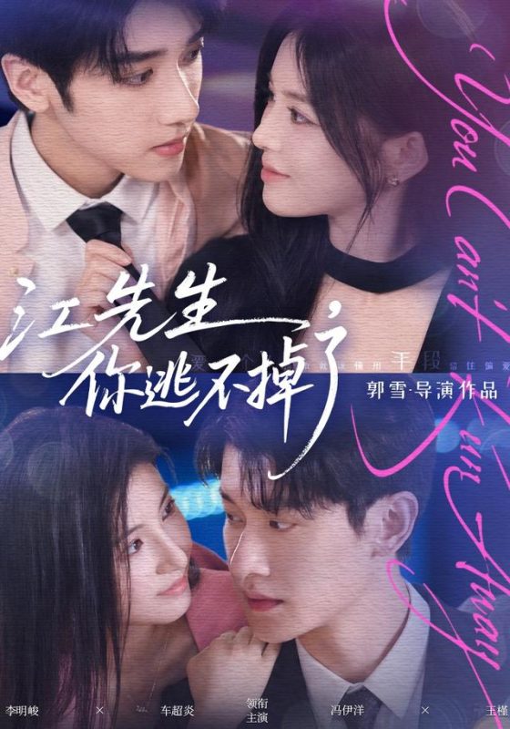 《江先生，你逃不掉了》-VIP部落