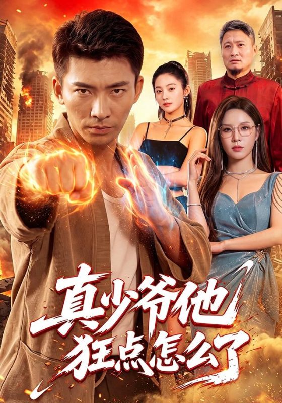 《真少爷他狂点怎么了》-VIP部落