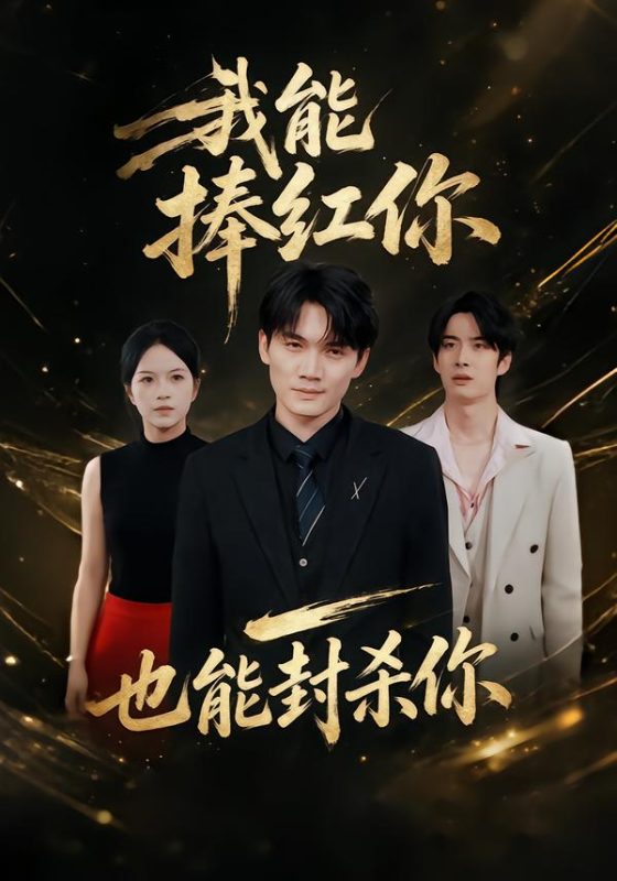 《我能捧红你，也能封杀你》-VIP部落
