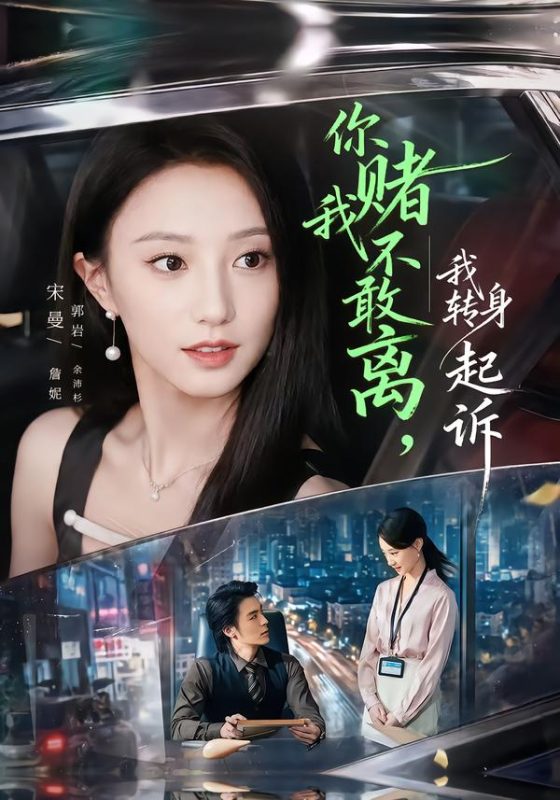 《你赌我不敢离，我转身起诉》-VIP部落